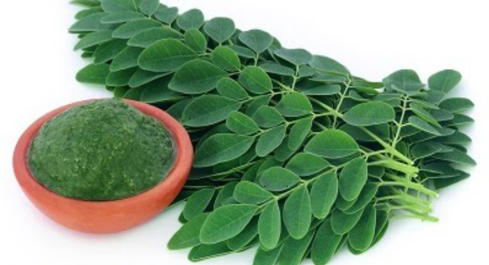 how-to-get-fair-skin-with-drumstick-leaves